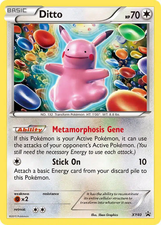 7 Grappige Pokémon Kaarten