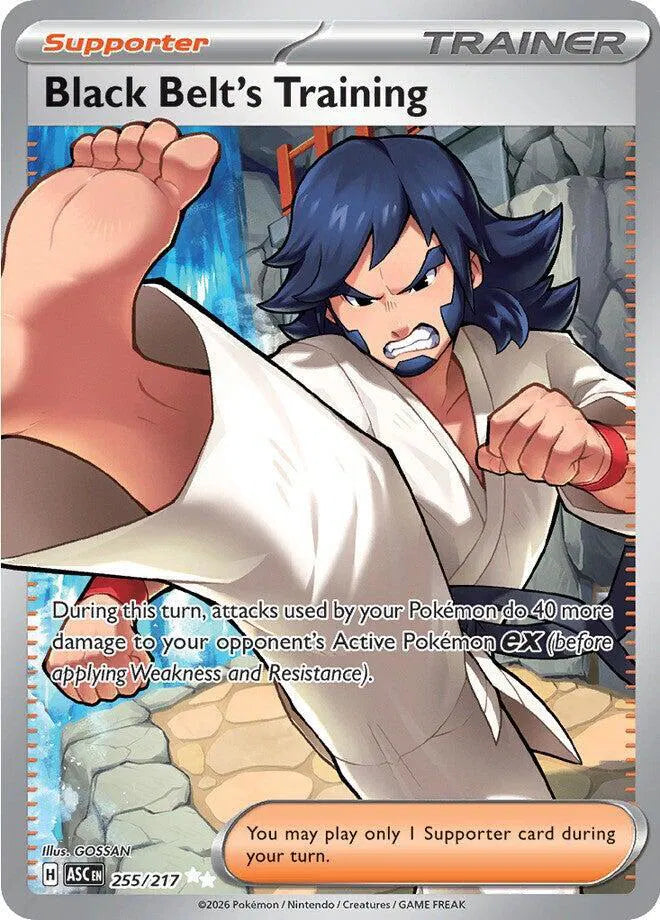 Black Belt's Training 255/217 - Ascended Heroes - Holofoil