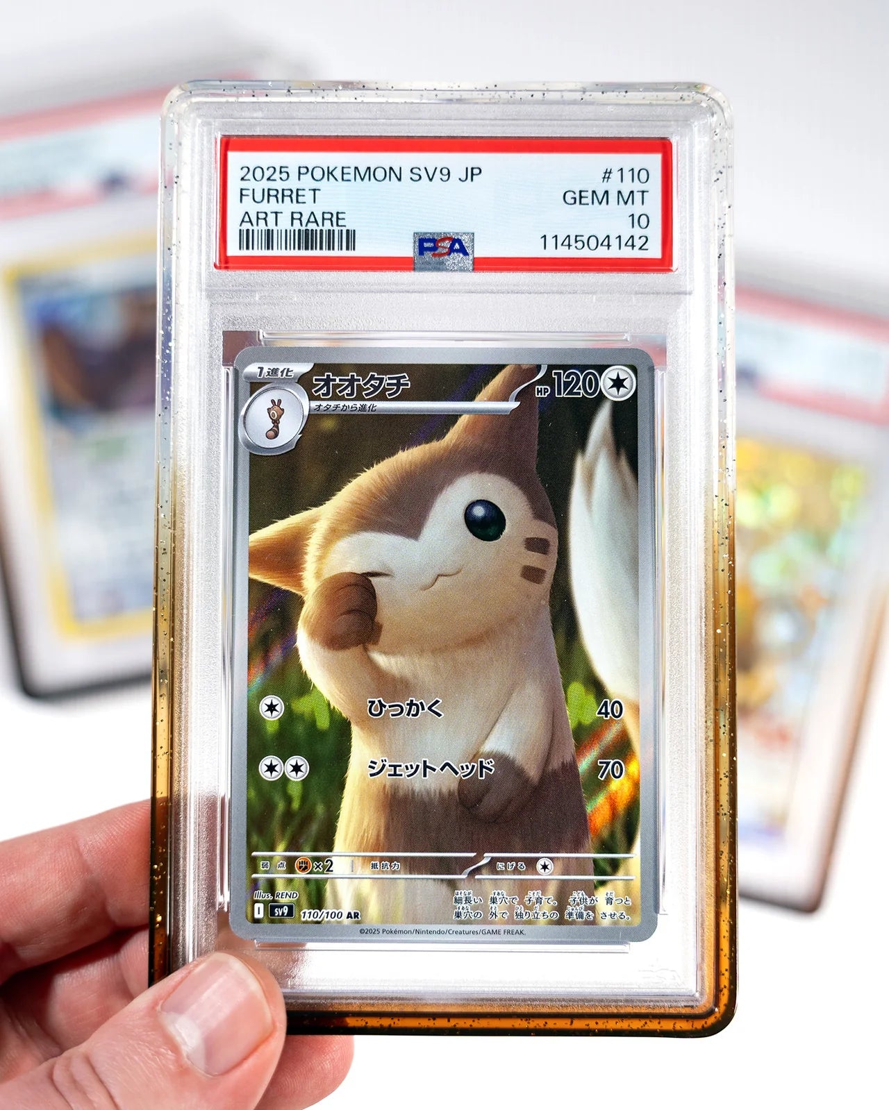 GradedGuard Limited Edition Case Cola