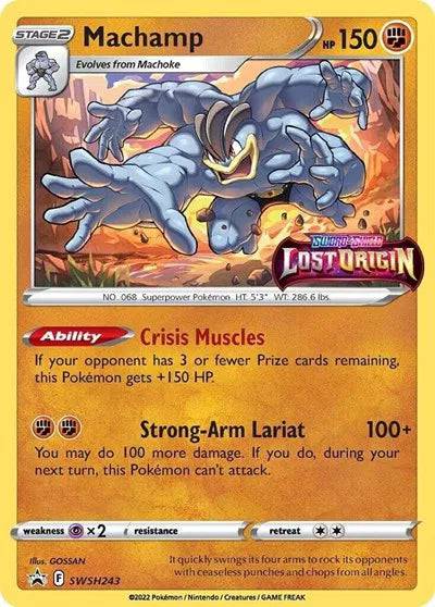 Machamp (Prerelease) SWSH243 - Sword & Shield Promo - Holofoil