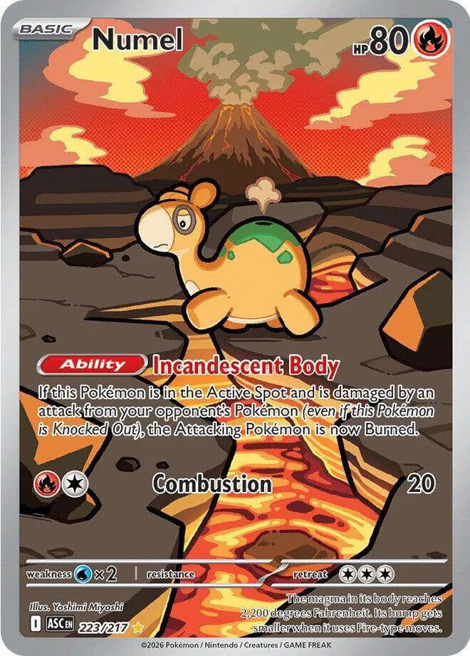 Numel 223/217 - Ascended Heroes - Holofoil