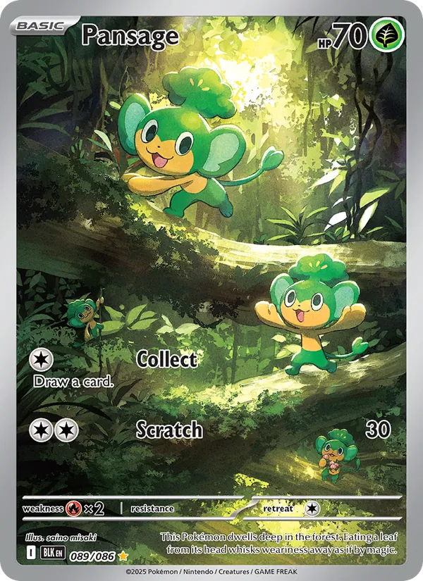 Pansage 089/086 - Black Bolt - Holofoil