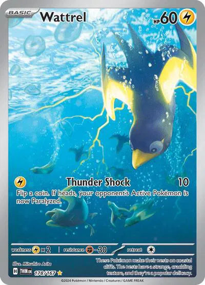 Wattrel 178/167 - Twilight Masquerade - Holofoil