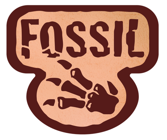 Top 11 Chase Cards van Fossil