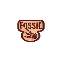 Fossil booster box – inhoud & prijsontwikkeling