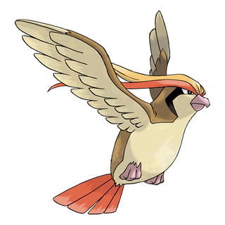 Pidgeot Pokémon cards