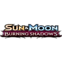 Burning Shadows
