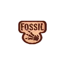 Fossil