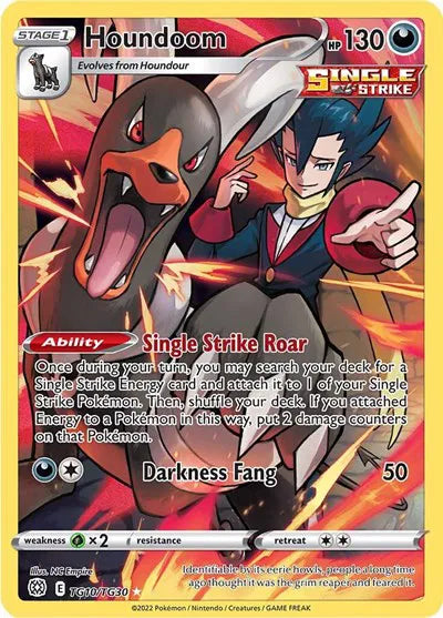 Houndoom TG10/TG30 - Brilliant Stars Trainer Gallery - Holofoil