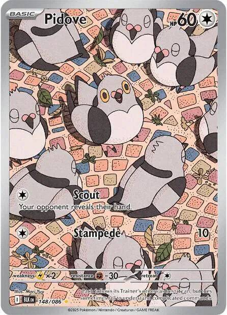 Pidove 148/086 - Black Bolt - Holofoil