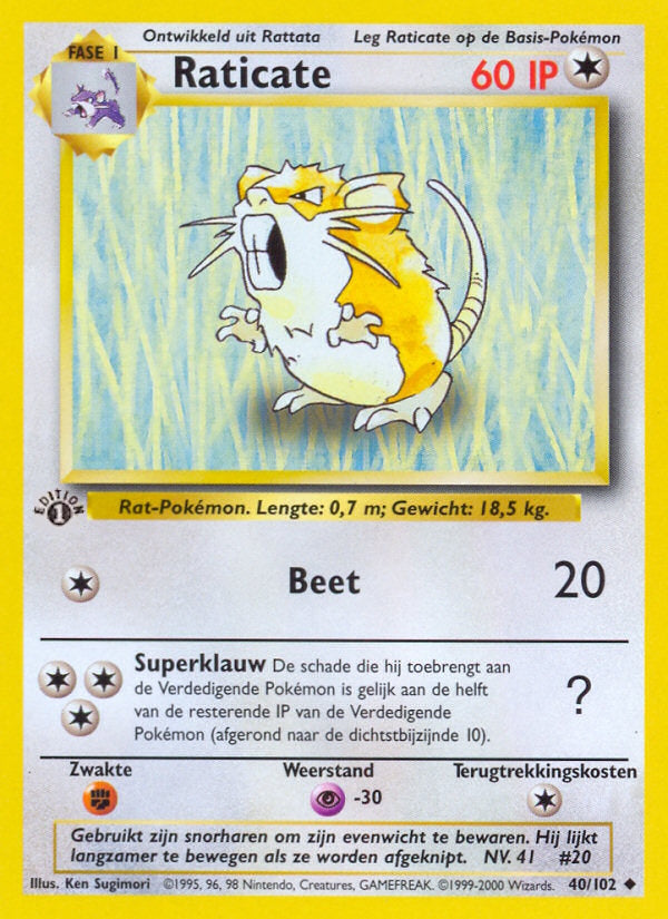 Raticate (NL) 40/102 - Base Set (1st Edition) - Normal
