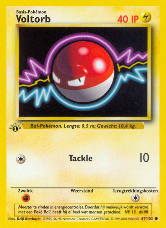 Voltorb (NL) 67/102 - Base Set (1st Edition) - Normal